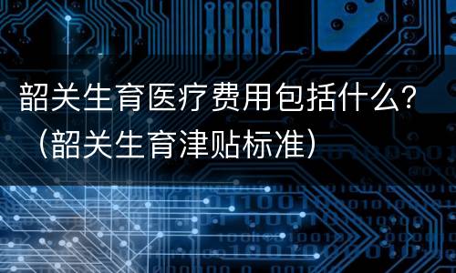 韶关生育医疗费用包括什么？（韶关生育津贴标准）