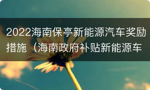 2022海南保亭新能源汽车奖励措施（海南政府补贴新能源车）