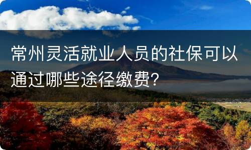 常州灵活就业人员的社保可以通过哪些途径缴费？