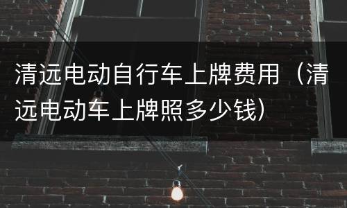 清远电动自行车上牌费用（清远电动车上牌照多少钱）