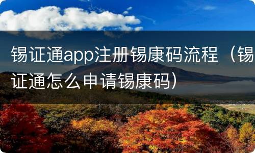 锡证通app注册锡康码流程（锡证通怎么申请锡康码）
