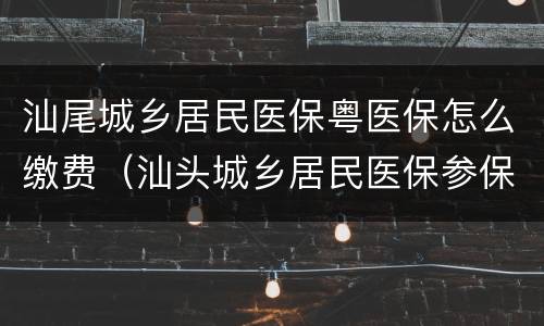 汕尾城乡居民医保粤医保怎么缴费（汕头城乡居民医保参保指南）