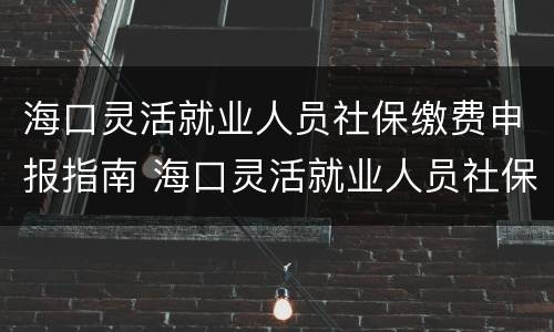 海口灵活就业人员社保缴费申报指南 海口灵活就业人员社保缴费申报指南怎么填