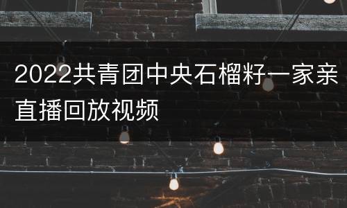 2022共青团中央石榴籽一家亲直播回放视频