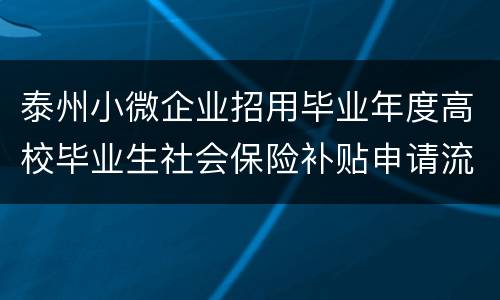泰州小微企业招用毕业年度高校毕业生社会保险补贴申请流程