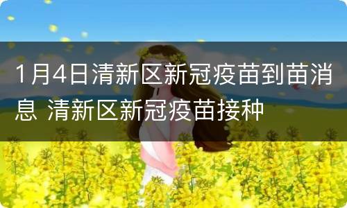 1月4日清新区新冠疫苗到苗消息 清新区新冠疫苗接种
