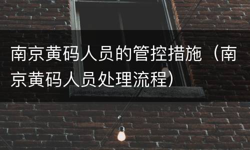 南京黄码人员的管控措施（南京黄码人员处理流程）