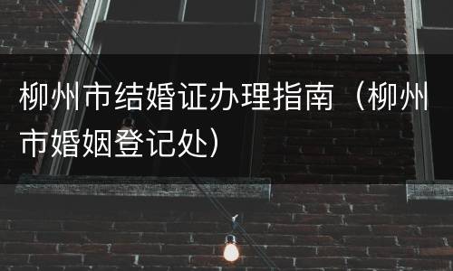 柳州市结婚证办理指南（柳州市婚姻登记处）