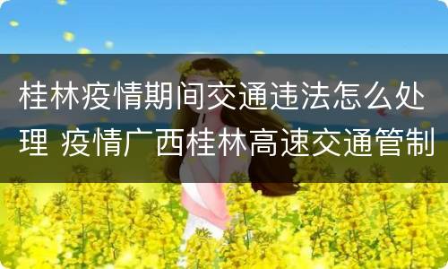 桂林疫情期间交通违法怎么处理 疫情广西桂林高速交通管制
