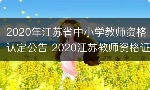 2020年江苏省中小学教师资格认定公告 2020江苏教师资格证认定公告