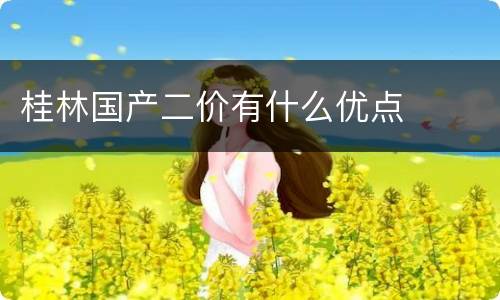 桂林国产二价有什么优点