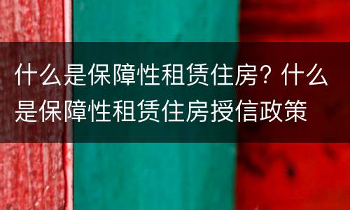 什么是保障性租赁住房? 什么是保障性租赁住房授信政策