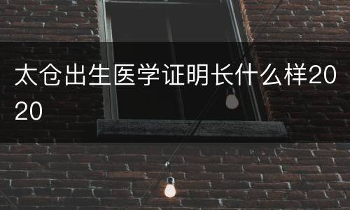 太仓出生医学证明长什么样2020