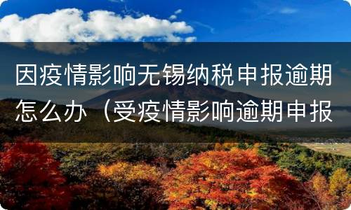 因疫情影响无锡纳税申报逾期怎么办（受疫情影响逾期申报的纳税人）