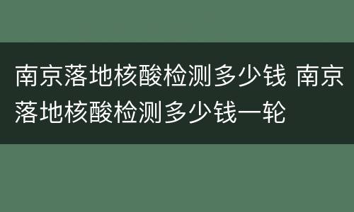 南京落地核酸检测多少钱 南京落地核酸检测多少钱一轮