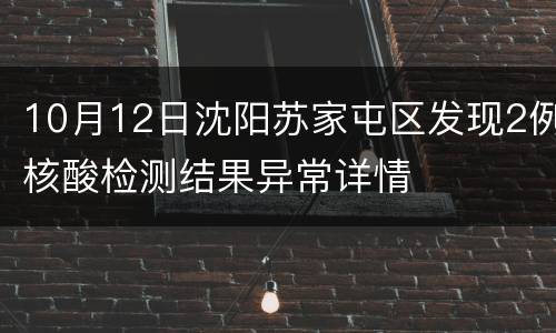 10月12日沈阳苏家屯区发现2例核酸检测结果异常详情
