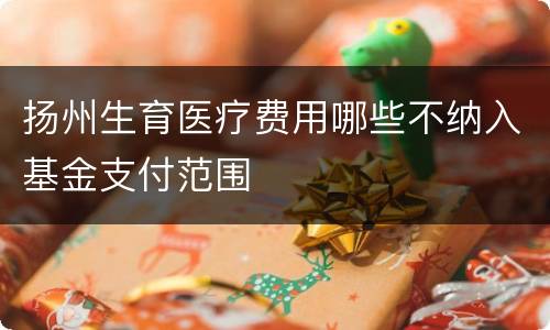 扬州生育医疗费用哪些不纳入基金支付范围