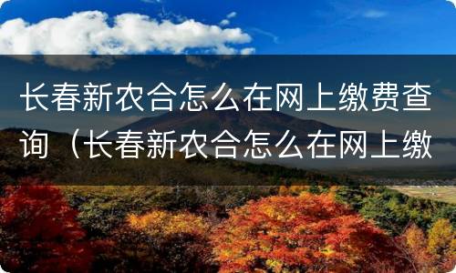 长春新农合怎么在网上缴费查询（长春新农合怎么在网上缴费查询缴费记录）