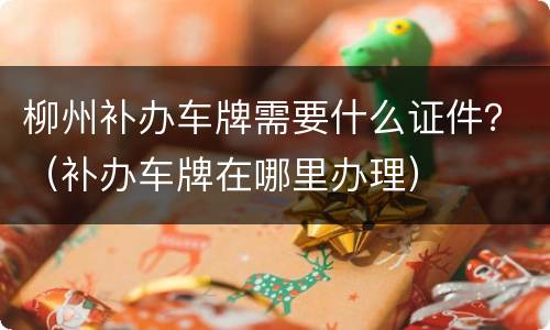 柳州补办车牌需要什么证件？（补办车牌在哪里办理）