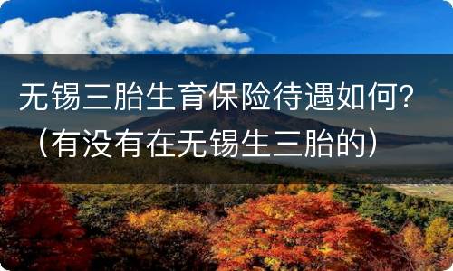 无锡三胎生育保险待遇如何？（有没有在无锡生三胎的）