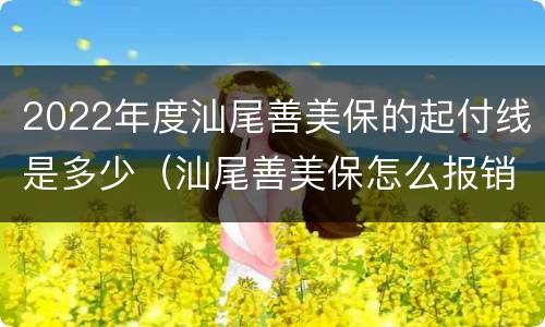 2022年度汕尾善美保的起付线是多少（汕尾善美保怎么报销）