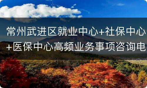 常州武进区就业中心+社保中心+医保中心高频业务事项咨询电话