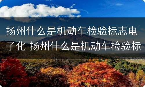 扬州什么是机动车检验标志电子化 扬州什么是机动车检验标志电子化服务