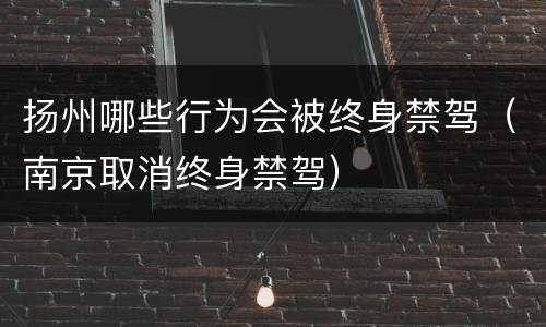 扬州哪些行为会被终身禁驾（南京取消终身禁驾）