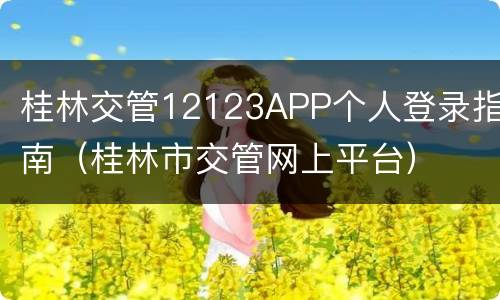 桂林交管12123APP个人登录指南（桂林市交管网上平台）