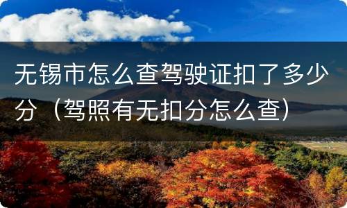 无锡市怎么查驾驶证扣了多少分（驾照有无扣分怎么查）