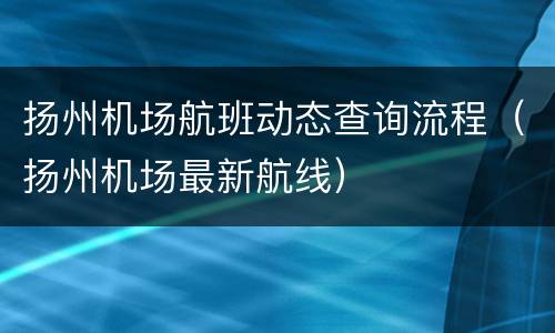 扬州机场航班动态查询流程（扬州机场最新航线）