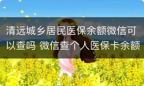 清远城乡居民医保余额微信可以查吗 微信查个人医保卡余额