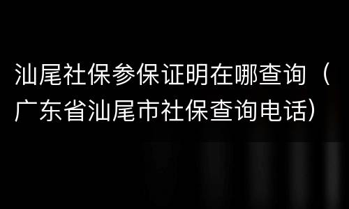 汕尾社保参保证明在哪查询（广东省汕尾市社保查询电话）