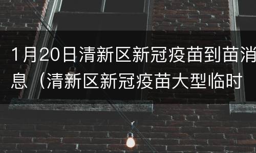 1月20日清新区新冠疫苗到苗消息（清新区新冠疫苗大型临时接种点）