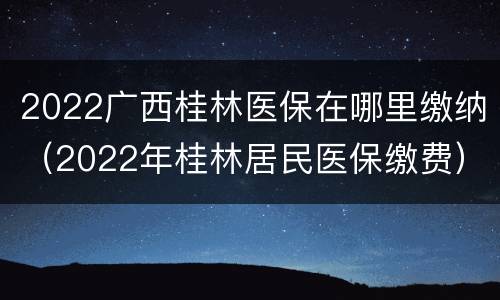 2022广西桂林医保在哪里缴纳（2022年桂林居民医保缴费）