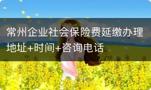 常州企业社会保险费延缴办理地址+时间+咨询电话