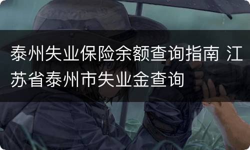 泰州失业保险余额查询指南 江苏省泰州市失业金查询