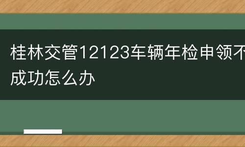 桂林交管12123车辆年检申领不成功怎么办