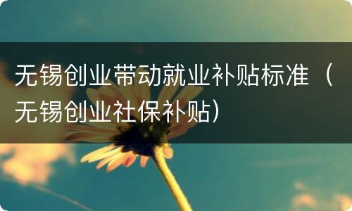 无锡创业带动就业补贴标准（无锡创业社保补贴）