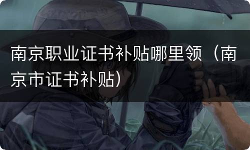南京职业证书补贴哪里领（南京市证书补贴）