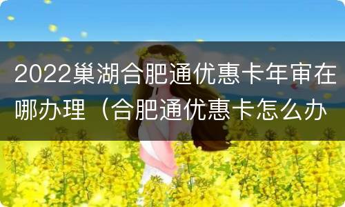 2022巢湖合肥通优惠卡年审在哪办理（合肥通优惠卡怎么办）