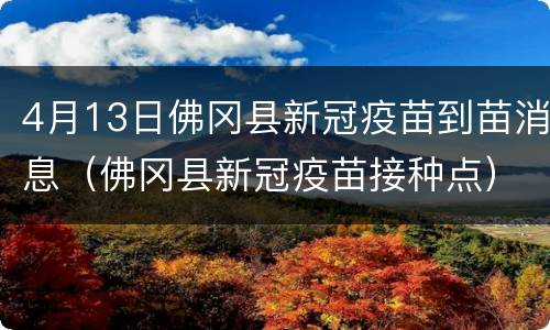 4月13日佛冈县新冠疫苗到苗消息（佛冈县新冠疫苗接种点）