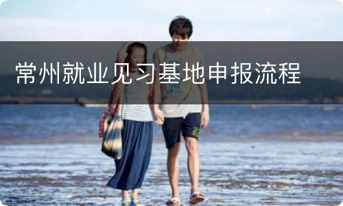 常州就业见习基地申报流程