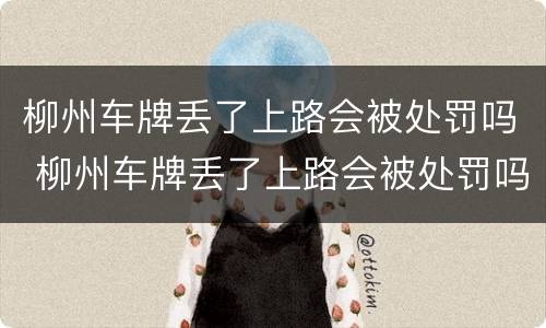 柳州车牌丢了上路会被处罚吗 柳州车牌丢了上路会被处罚吗