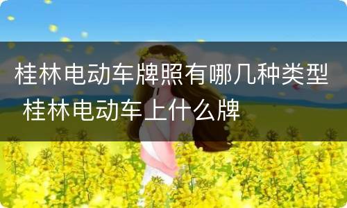 桂林电动车牌照有哪几种类型 桂林电动车上什么牌