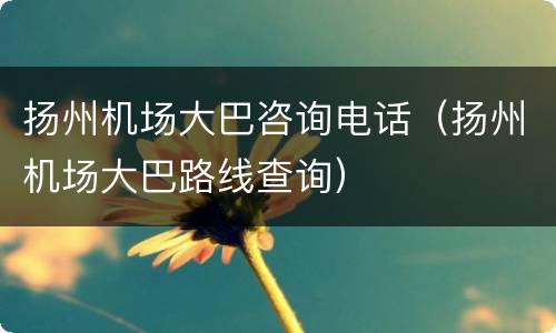 扬州机场大巴咨询电话（扬州机场大巴路线查询）