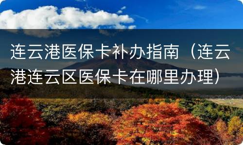 连云港医保卡补办指南（连云港连云区医保卡在哪里办理）