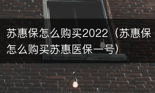 苏惠保怎么购买2022（苏惠保怎么购买苏惠医保一号）