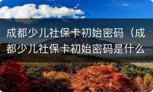 成都少儿社保卡初始密码（成都少儿社保卡初始密码是什么）