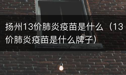 扬州13价肺炎疫苗是什么（13价肺炎疫苗是什么牌子）